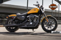 Harley Davidson IRON 883