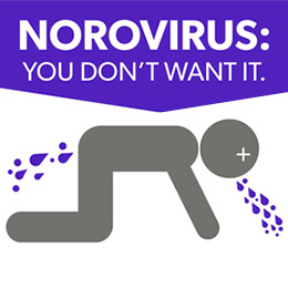 Norovirus