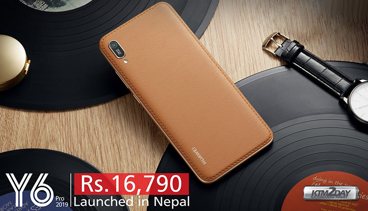 Huawei-Y6-Pro-2019-Back-panel