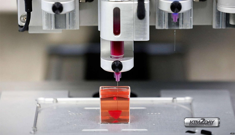 3D-Printed-Heart