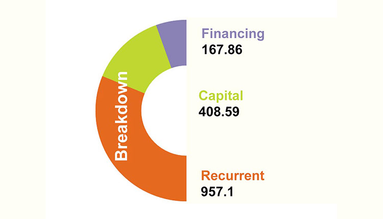 federal budget of fiscal 2019-20 NEPAL