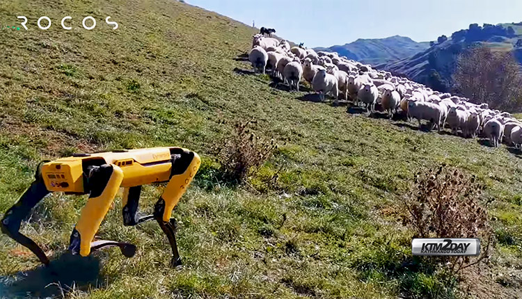 Rocos-Boston-Dynamics