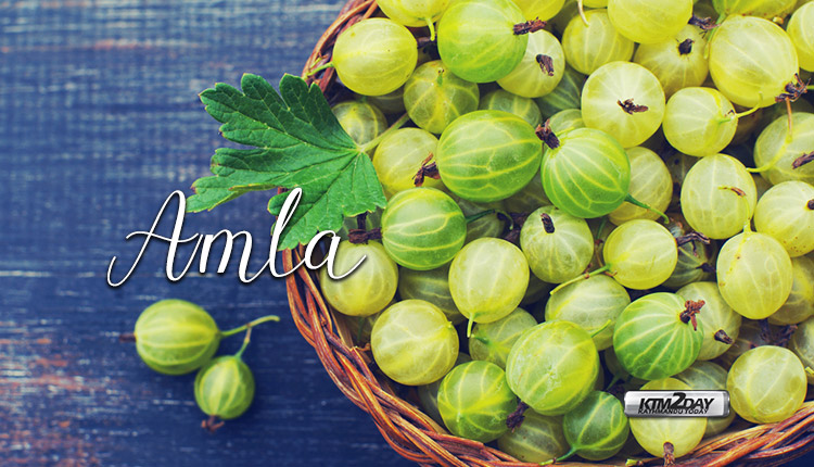 Amla Health Benefits