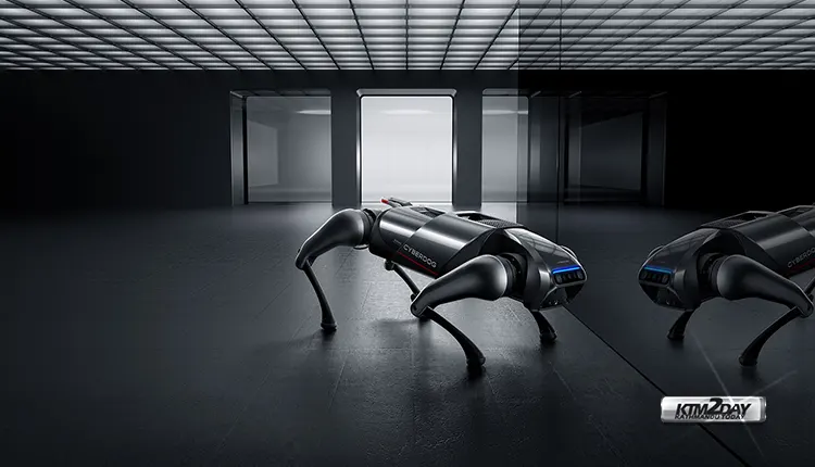 CyberDog Mirror Gaze