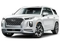 Hyundai-Palisade-Nepal