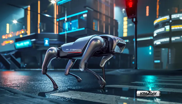 Quadruped Robot CyberDog