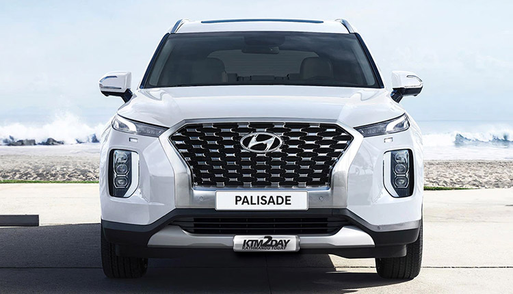 Palisade